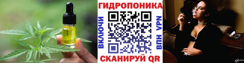 Canna-Cookies марихуана  МЕГА маркетплейс  Электросталь  даркнет сайт 